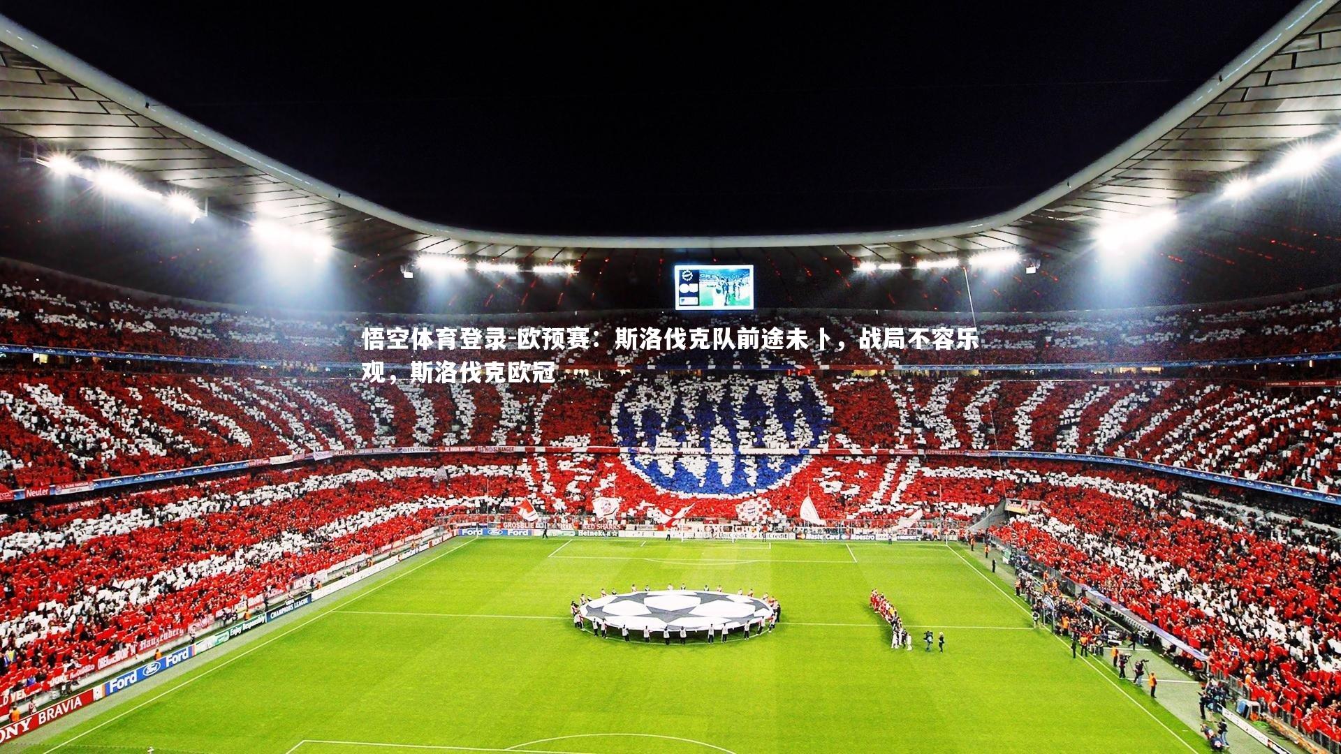 欧预赛：斯洛伐克队前途未卜，战局不容乐观，斯洛伐克欧冠