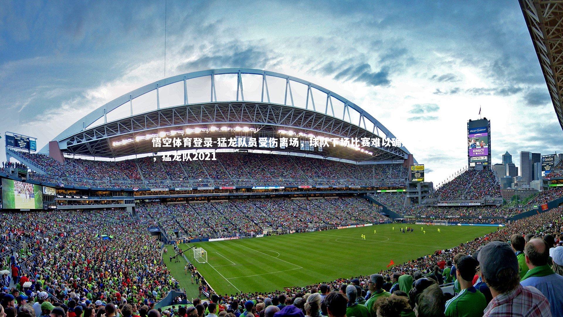 猛龙队员受伤离场，球队下场比赛难以确定，猛龙队2021