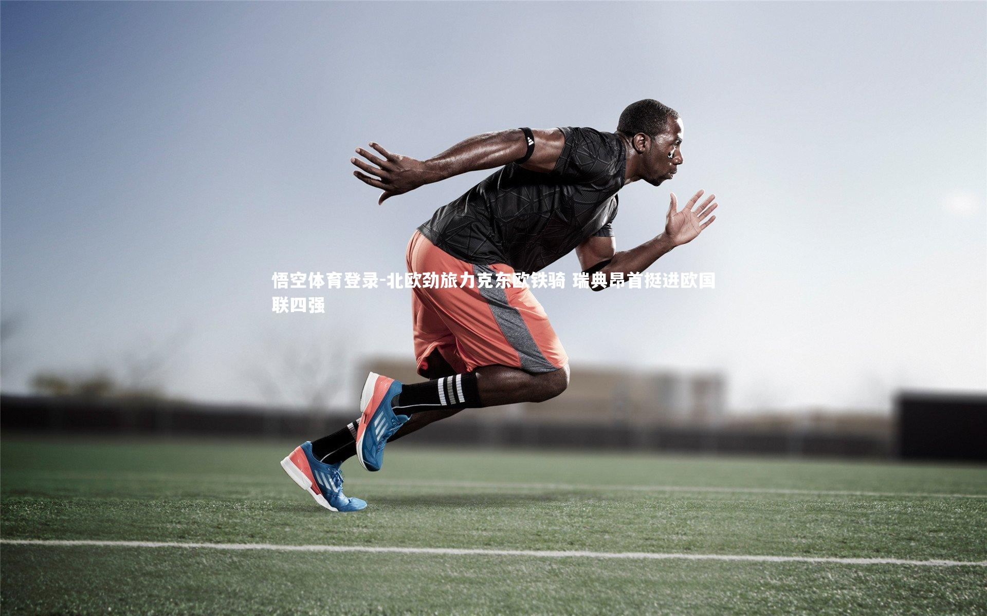 北欧劲旅力克东欧铁骑 瑞典昂首挺进欧国联四强